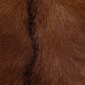 bali & pari Rivera Genuine Goat Leather Counter Stool - image 5