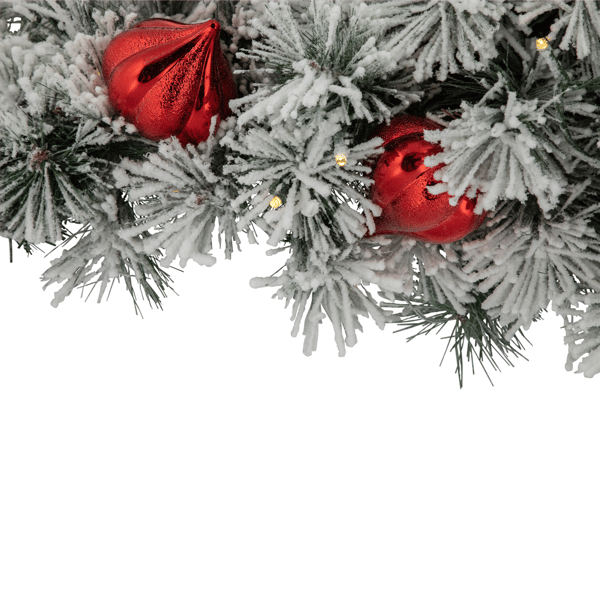 Northlight 3ft. Warm White LED Snowy Bristle Pine Christmas Swag