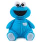 Spin Master Sesame Street(R) Oh-So-Snuggly Cookie Monster Plush - image 1