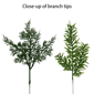 Puleo International Christmas Wreath with Soft PE Branch Tips - image 5