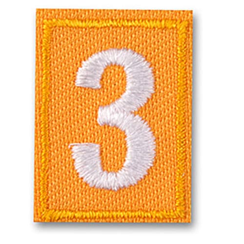 Girl Scouts Daisy Number Patches - image 