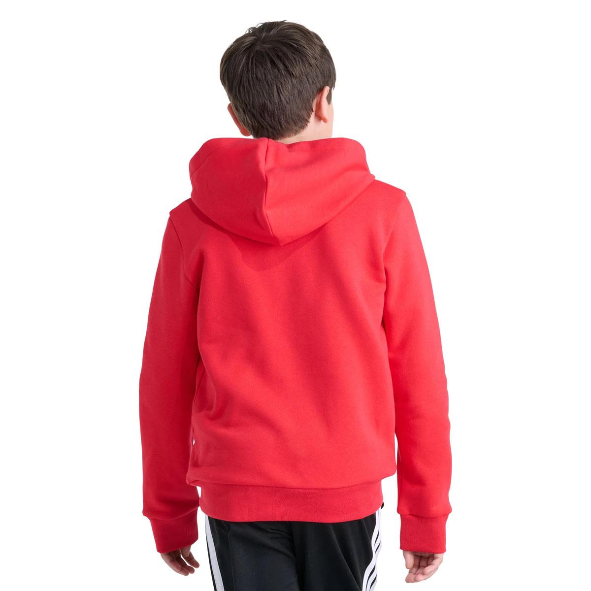 Boys (8-20) Adidas® Mesh Logo Hoodie - Pure Ruby