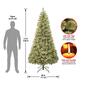National Tree 7.5ft Arcadia Pine Cashmere Hinged Christmas Tree - image 4