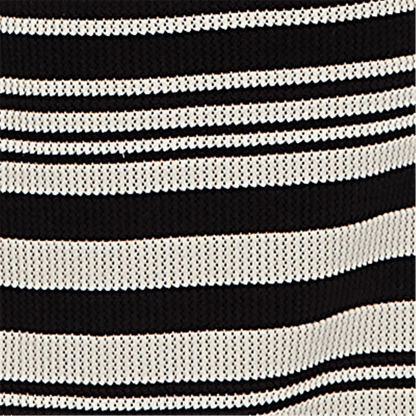 Petite Ruby Rd. Tropical Noir Sleeveless Stripe Knit Dress