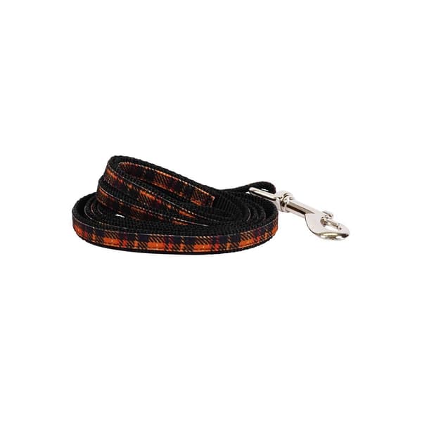 Best Furry Friends Cider Plaid Pet Leash - image 