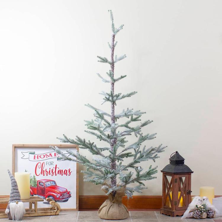 Northlight Seasonal 4ft. Artificial Frosted Pine Christmas Tree