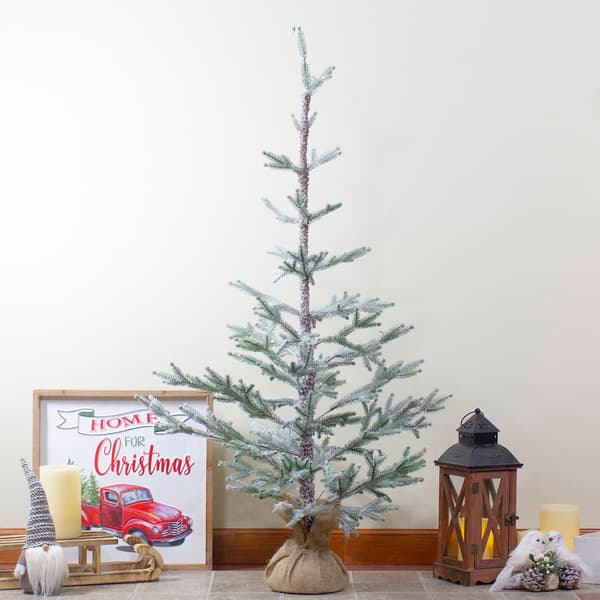 Northlight Seasonal 4ft. Artificial Frosted Pine Christmas Tree