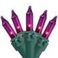 Northlight Seasonal 10ft. Purple Christmas Lights - Green Wire - image 1