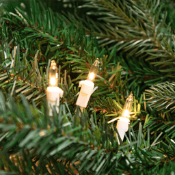 Hofert Everglow 38ft. Chasing Clear Mini Christmas Lights