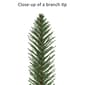 Puleo International 7ft. Pre-Lit Artificial Alpine Christmas Tree - image 6