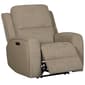 Coleman Glider Recliner - image 1