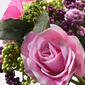 National Tree 12in. Pink Rose Bundle - image 3