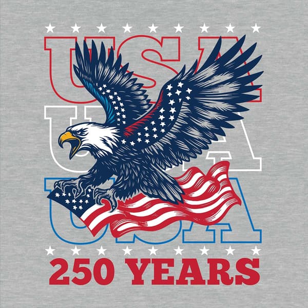 Mens Home of the Brave 250 Talon Flag Graphic Tee