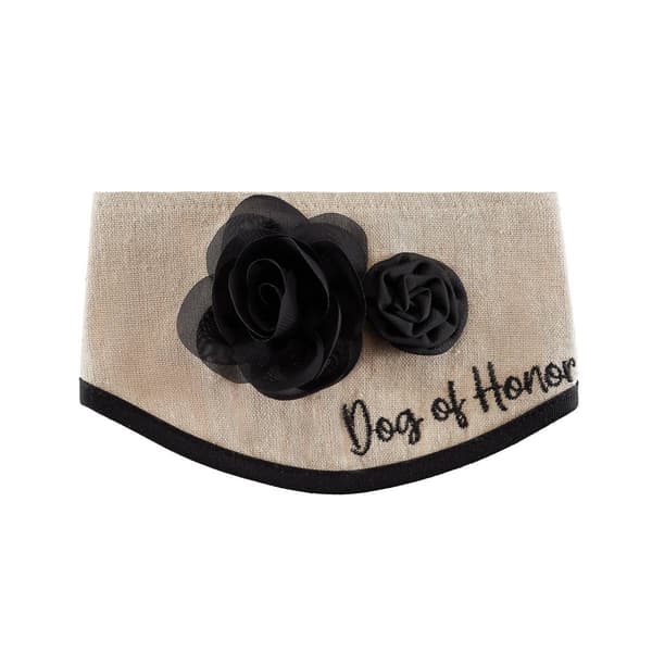 Best Furry Friends Rustic Floral Pet Collar