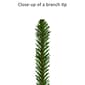 Puleo International 7.5ft. Pre-Lit Spruce Christmas Tree - image 6