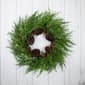Northlight Seasonal 26in. Frosted Artificial Christmas Wreath - image 2