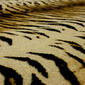 Mohawk Home Tiger Skin Accent Rug - image 8
