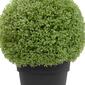 Northlight Seasonal 22in. Artificial Boxwood Ball Topiary - image 4