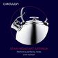 Circulon&#174; 2.3qt. Stainless Steel Whistling Teakettle - image 8