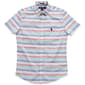 Mens U.S. Polo Assn.(R) Slim Fit Pastel Stripe Button Down Shirt - image 1