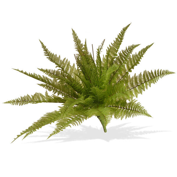 National Tree 21in. Garden Accents Ruffle Fern Plant - image 