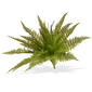 National Tree 21in. Garden Accents Ruffle Fern Plant - image 1
