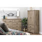 South Shore Versa 2 Door Weathered Oak Armoire with Drawers - image 8
