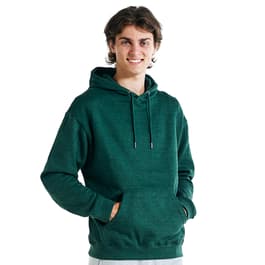 Boscov's discount mens hoodies