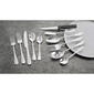 Pfaltzgraff(R) 53pc. Garland Frost Silverware Set - image 1