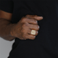 Mens Lynx Gold-Tone Ion Plated Cubic Zirconia Eagle Ring - image 3