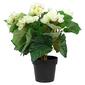 Northlight Seasonal Silk Begonia Artificial Potted Plant - image 1