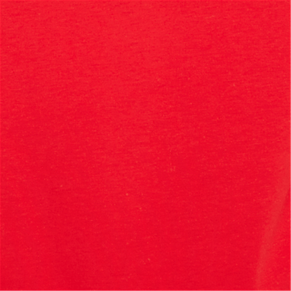 Plus Size Ruby Rd. Must Haves II Happy Howlidays Tee