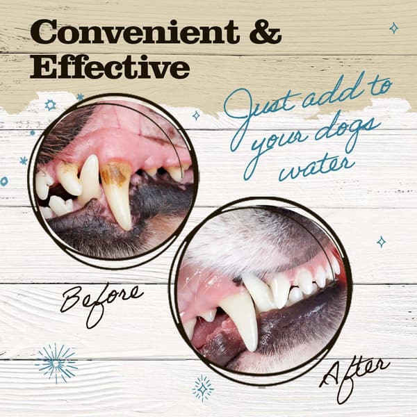 Dr. Pol Dental Water Additive for Cats & Dogs - 8 oz.