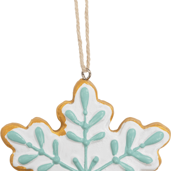 Northlight Frosted Snowflake Cookie Christmas Ornament
