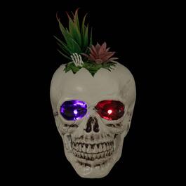Northlight Seasonal 8.75in. LED Succulent Skull Planter