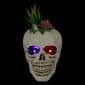 Northlight Seasonal 8.75in. LED Succulent Skull Planter - image 2