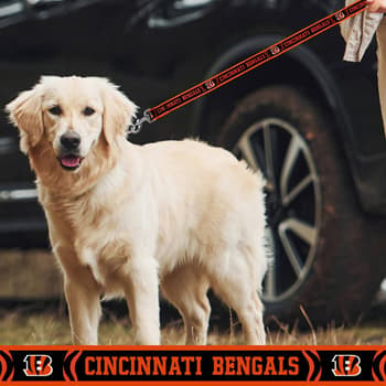 Cincinnati Bengals Pet Nylon Leash