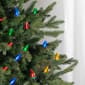 Northlight Seasonal 25ct. LED C7 Christmas Lights - image 8