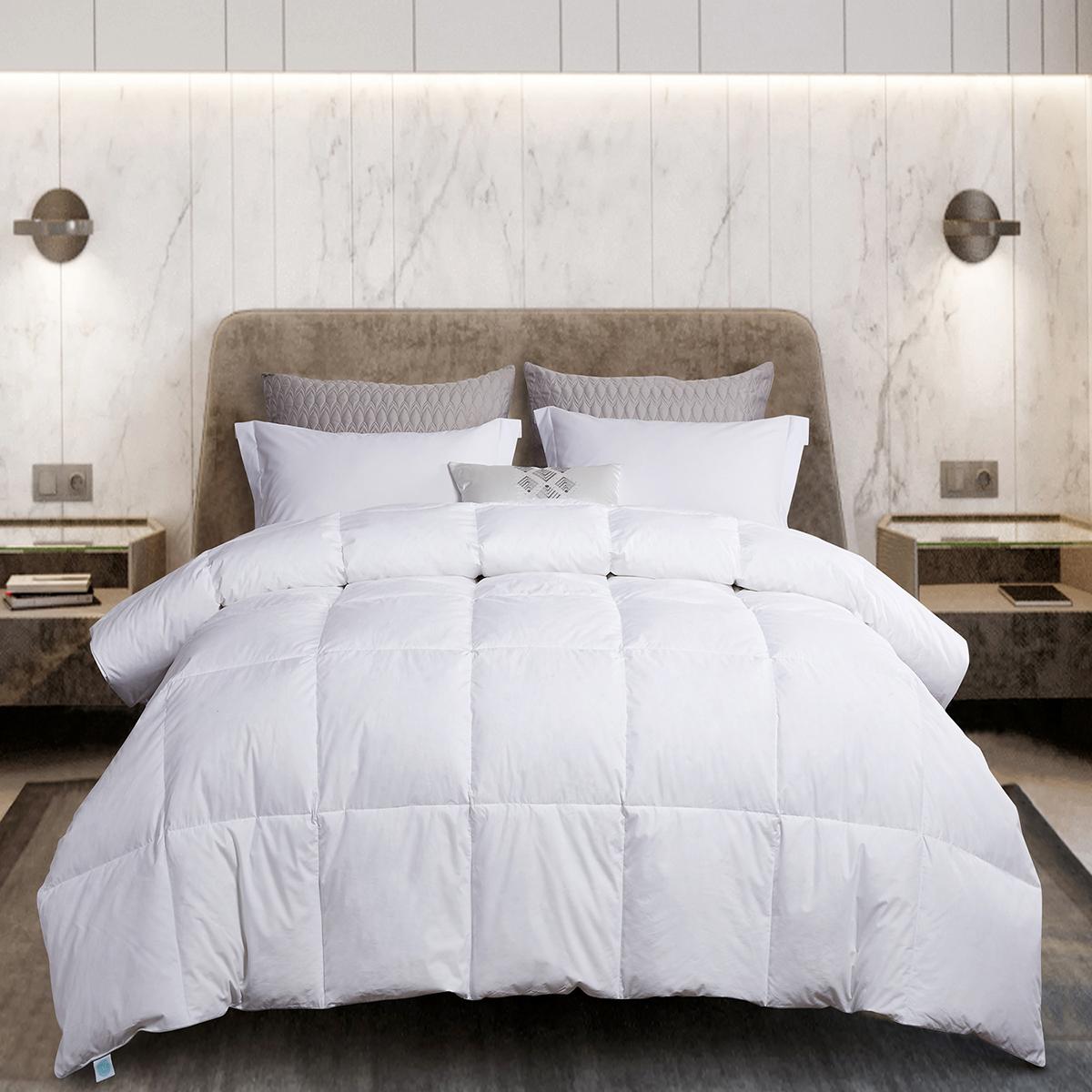 Blue Ridge Martha Stewart 250TC Goose Feather And Down...