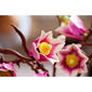 LEGO® Botanicals Magnolia Branches Building Kit - image 12