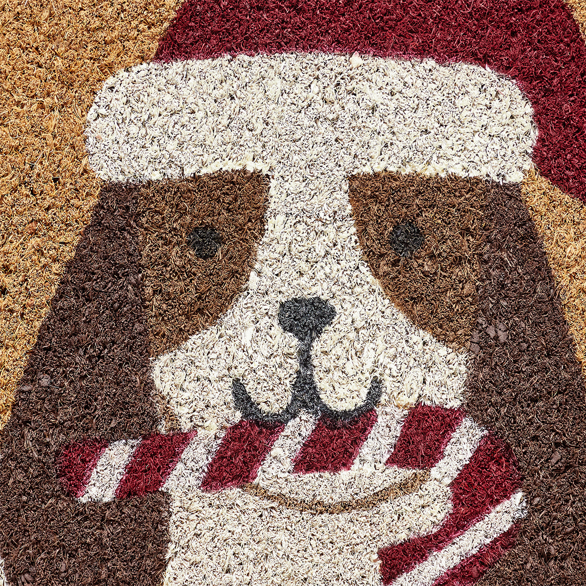 Hallmark Holiday Dog Multicolor Outdoor Coir Doormat