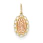 Gold Classsics&#40;tm&#41; Two Tone Guadalupe Pendant - image 1