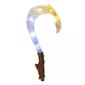 Disney Maui''s Magical Fishhook - image 2