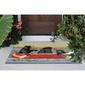 Liora Manne Frontporch Are We Bear Yet? Indoor/Outdoor Accent Rug - image 2