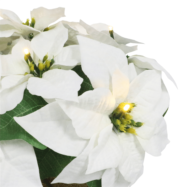Puleo International 19in. Pre-Lit Potted White Poinsettias