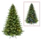 Puleo International 7.5ft. Pre-Lit Chatham Fir Christmas Tree - image 1