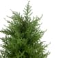 Northlight Seasonal Artificial Cedar Pine Arborvitae Tree - image 3