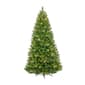 7.5ft. Tenton Pine Christmas Tree with 600 Clear Lights - image 1