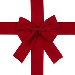 Northlight Seasonal 14in. Classic Red Velvet Christmas Door Bow