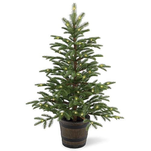National Tree 4ft. Pre-Lit Norwegian Spruce Entrance Tree - image 